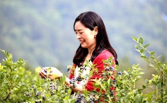 你是不是欠C很久了视频